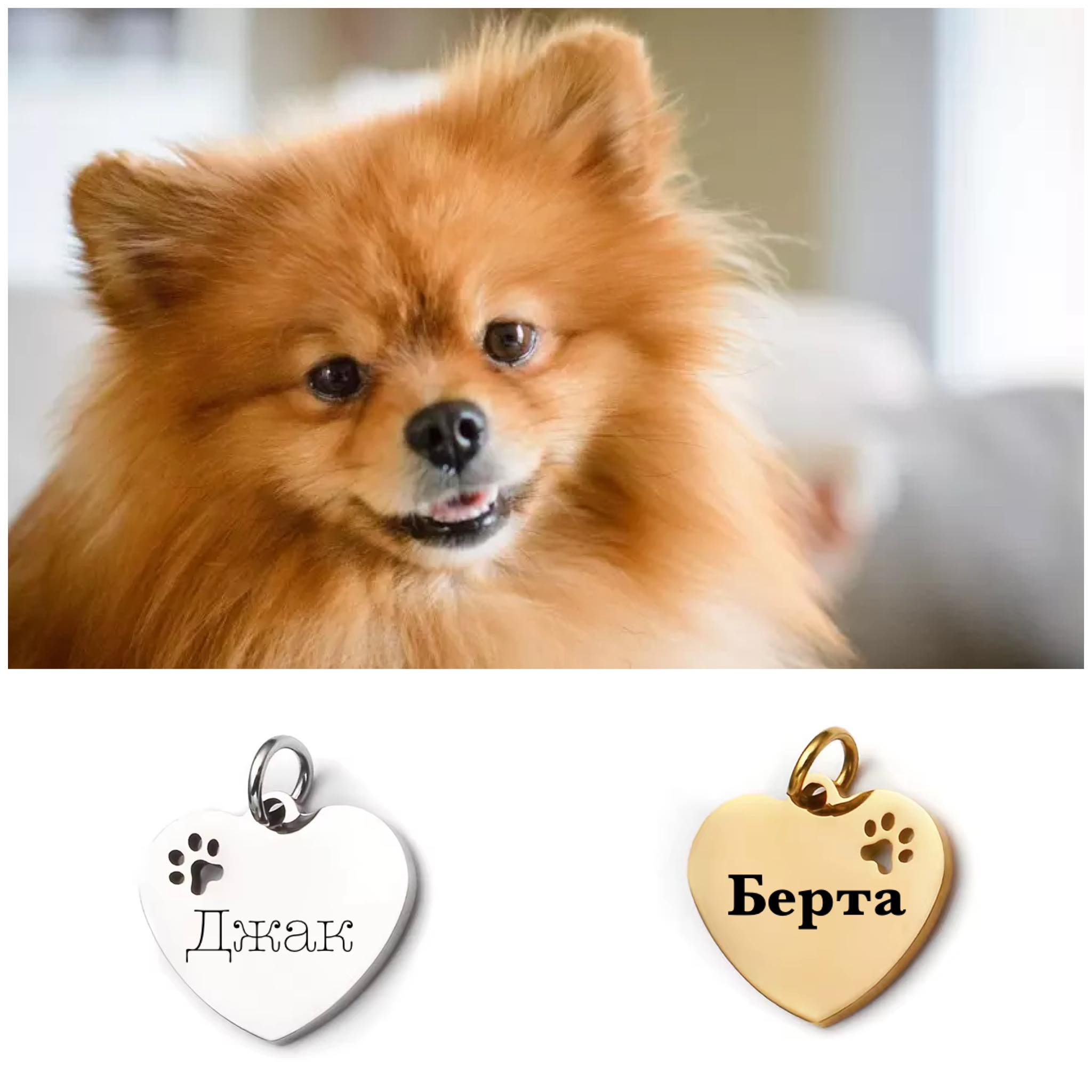 гравиран медальон за домашен любимец с лапичка подарък